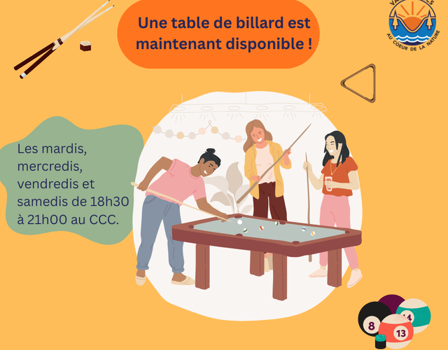 Soirées billard