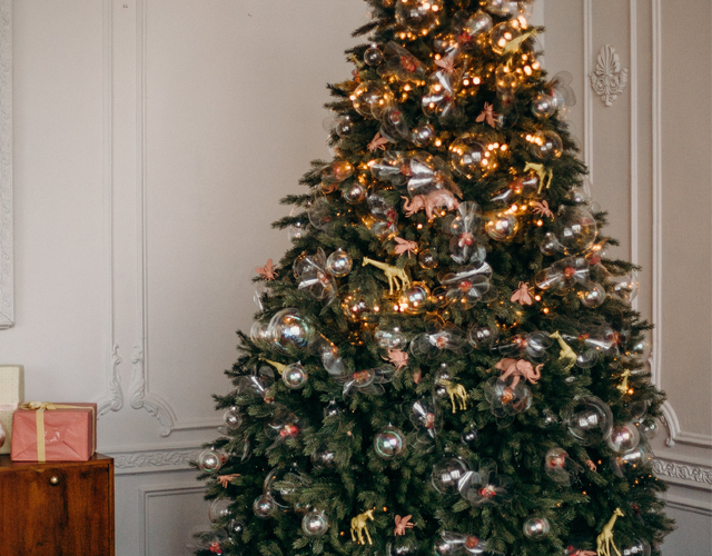 Dépouillement de l'arbre de Noël de Val-des-Lacs