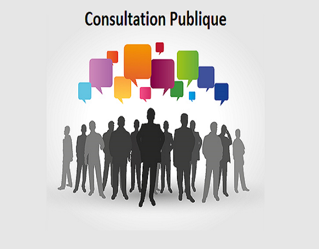 Résumé des 2 consultations publiques sur les établissements à caractère érotique